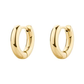 Minimalistické kruhy z pozlacené oceli Perfect BPC43 Brosway