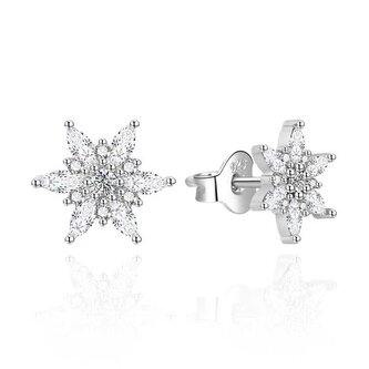 Okouzlující stříbrné náušnice Sněhové vločky AGT-E005PW Agato