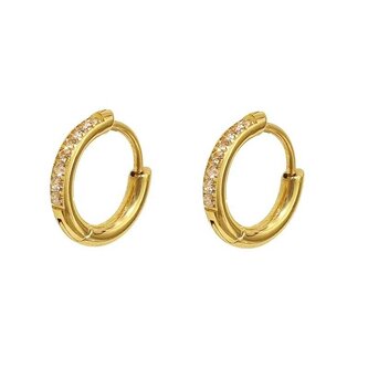 Kruhové náušnice z pozlacené oceli se zirkony VHLLE2008G Troli