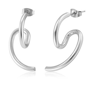 Originální ocelové náušnice VAAJDE201870S Troli