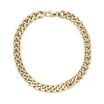 Masivní pozlacený náhrdelník pro muže Wild 2790636 Tommy Hilfiger