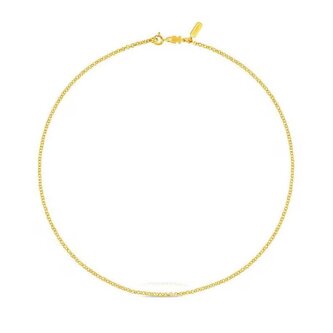 Pozlacený řetízek Rolo Chain 1003732400 Tous