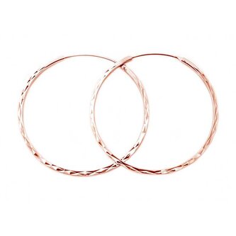 Módní pozlacené kruhové náušnice ze stříbra AGUC2439/SCS-ROSE Beneto / Průměr: 5 cm