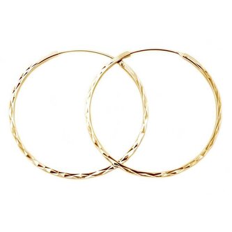 Módní pozlacené kruhové náušnice ze stříbra AGUC2439/SCS-GOLD Beneto / Průměr: 3 cm