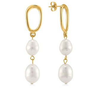 Nádherné pozlacené náušnice s perlami VAAJDE201462G Troli