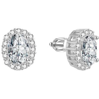 Třpytivé stříbrné náušnice AGUP1501S Beneto