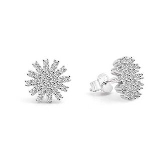Blyštivé stříbrné náušnice Vločka AGUP2723 Beneto