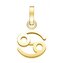Pozlacený přívěsek Rak The Pendant PE-Gold-Cancer-S Rosefield