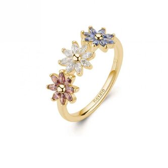 Pozlacený květinový prsten s kubickými zirkony Gaia RZGA82 Rosato / Obvod: 56 mm - 56 mm