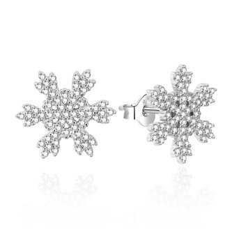Půvabné stříbrné náušnice Sněhové vločky AGT-E006PW Agato