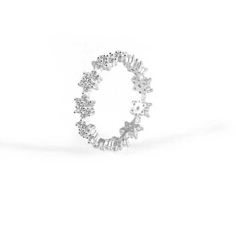 Něžný stříbrný prsten se zirkony AGG499 Beneto / Obvod: 58 mm - 58 mm