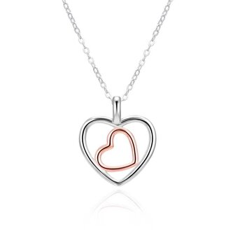 Stříbrný bicolor náhrdelník Dvojité srdce AGT-N045-2T (řetízek, přívěsek) Agato