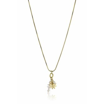 Něžný pozlacený náhrdelník EWN23045G Emily Westwood