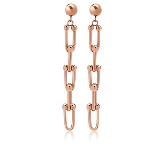 Moderní bronzové náušnice z oceli VESE0585RG Troli