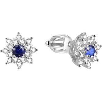 Stříbrné třpytivé náušnice kytičky AGUP1443S Beneto