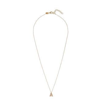 Pozlacený náhrdelník se Swarovski perličkami "A" AL4258.01.901 Alisia