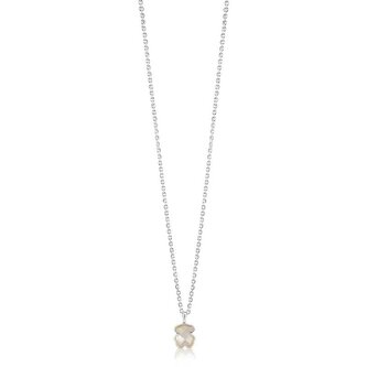 Stříbrný náhrdelník s perleťovým medvídkem Icon Color 1000145900 (řetízek, přívěsek) Tous