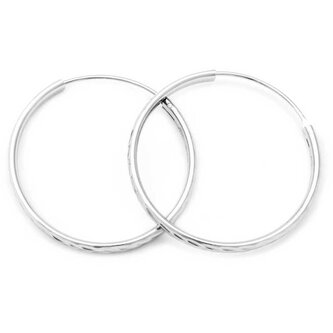Úžasné stříbrné kruhové náušnice AGUC2103/50/N Beneto