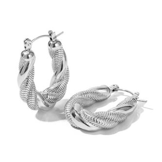 Luxusní ocelové náušnice kruhy VAAJDE202010S Troli