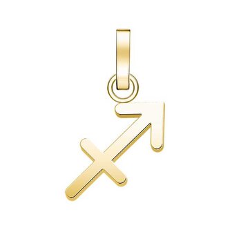Pozlacený přívěsek Střelec The Pendant PE-Gold-Sagittarius-S Rosefield