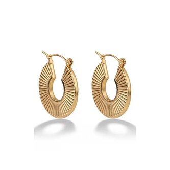 Pozlacené kruhové náušnice z oceli Opaline EWE250197G Emily Westwood