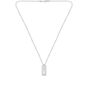 Módní ocelový náhrdelník Baseline 2040079 Lacoste