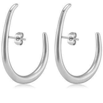 Originální ocelové náušnice VAAJDE201761S Troli