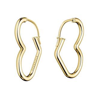 Romantické srdíčkové náušnice z pozlacené oceli Essentials JEHHG-J579 Rosefield