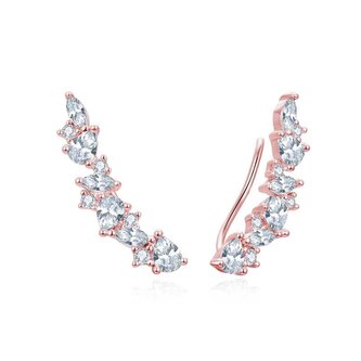 Blyštivé podélné náušnice s čirými zirkony AGUP3299W-ROSE Beneto