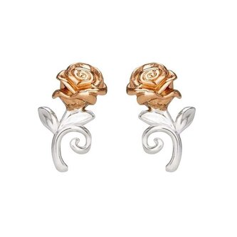 Překrásné stříbrné náušnice pecky Princess E905453TL Disney