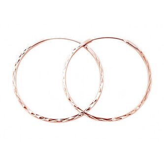 Módní pozlacené kruhové náušnice ze stříbra AGUC2439/SCS-ROSE Beneto / Průměr: 4 cm