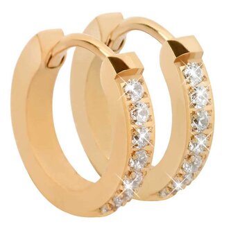 Pozlacené ocelové náušnice s krystaly Troli