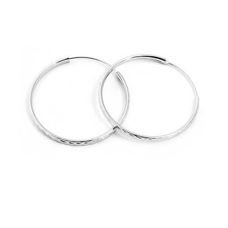 Třpytivé stříbrné kruhové náušnice AGUC2099/35/N Beneto