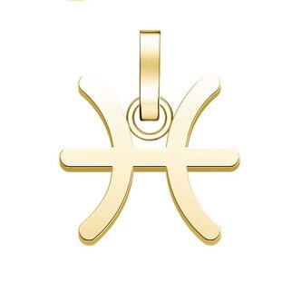 Pozlacený přívěsek Ryby The Pendant PE-Gold-Pisces-S Rosefield