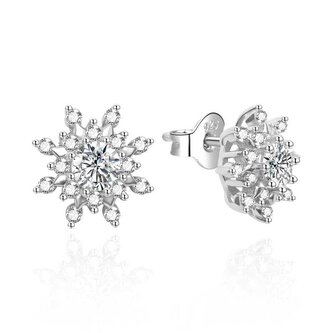 Třpytivé stříbrné náušnice se zirkony AGT-E008PW Agato