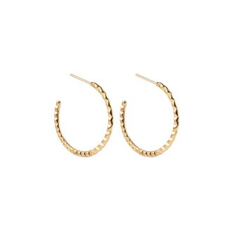 Stylové pozlacené kruhy Priselle EWE250304G Emily Westwood