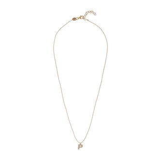 Pozlacený náhrdelník se Swarovski perličkami "P" AL4258.01.916 Alisia