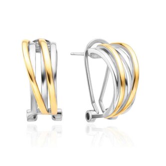 Elegantní bicolor náušnice se zirkony AGT-E122KK-2T Agato