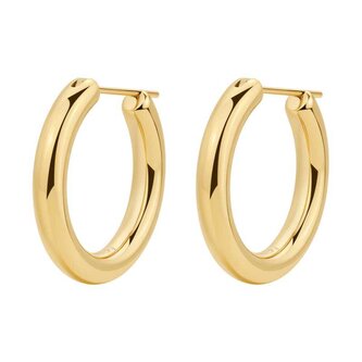 Výrazné pozlacené náušnice kruhy Aura BAU25 Brosway