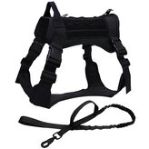 Taktický postroj s vodítkem Premium XL Night