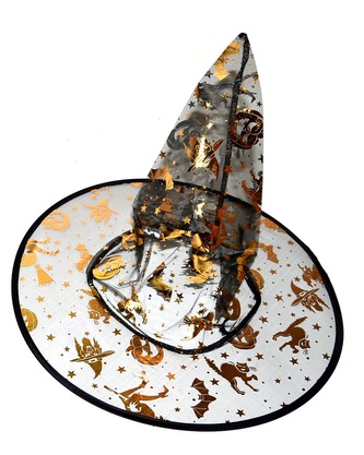 Klobouk čarodějnický 35x39 cm průhledný, černá