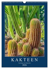 Kakteen - Stacheliges aus Südamerika (Wandkalender 2026 DIN A3 hoch), CALVENDO Monatskalender