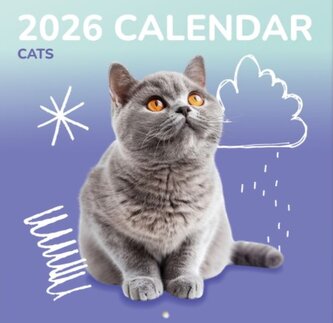 Nástěnný kalendář 2026 16 měsíců: Kočky a koťata (30 x 30|60 cm)