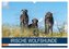 Irische Wolfshunde (Wandkalender 2026 DIN A3 quer), CALVENDO Monatskalender