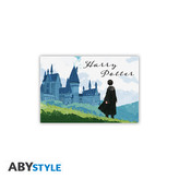 ABYstyle Magnet Harry a Bradavice, Harry Potter