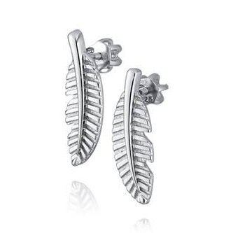 NB-3535 Stříbrné dámské náušnice