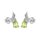 NB-3762 Stříbrné šroubovací náušnice