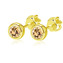 NB-3793-Y Zlacené náušnice, champagne zirkony 4 mm