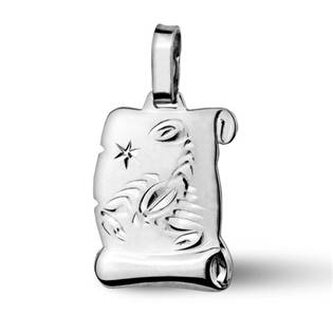 ZB51587-11 Stříbrný přívěšek znamení ŠTÍR - znamení zvěrokruhu