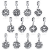 NB-8078-06 Stříbrný přívěšek korálek znamení horoskopu - znamení zvěrokruhu - blíženci